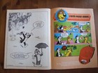 Foto 6 di 6