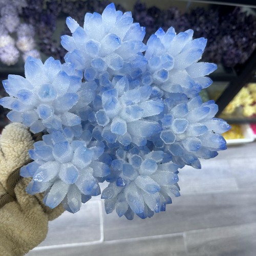 Nuevo Encontrar Azul Fantasma Cuarzo Cristal Racimo Mineral Espécimen Decoración Curativa - Imagen 4 de 15