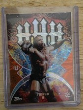 2025 Topps Universe WWE - Namesakes Triple H /25 #25