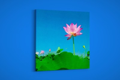 Artographie - Pink Lotus - Art Print on Paper or Canvas