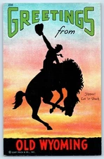 c1940's Greetings From Old Wyoming WY Horse Rodeo Unposted Vintage Postcard