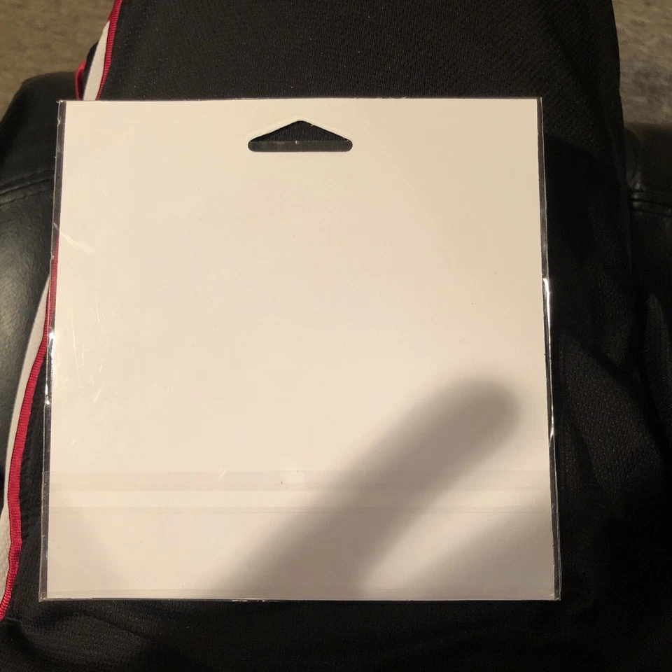 Imán de béisbol campeón ALCS 2007 de los Medias Rojas de Boston de la Liga Americana Foto 3 de 4