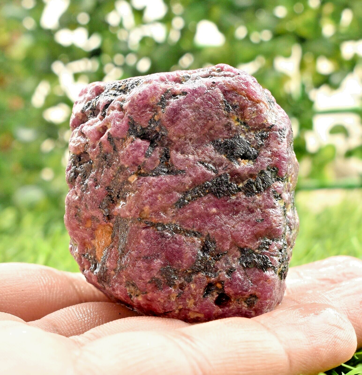 AAA Quality Natural Untreated Mozambique Ruby Rough Loose Gemstone