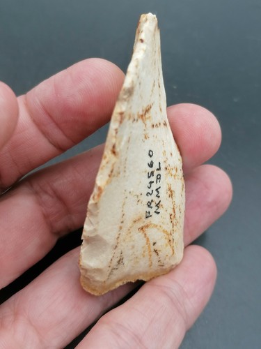 Middle Paleolithic Neanderthal France Mousterian scraper déjeté Dordogne - Picture 13 of 15