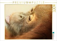 Calvendo Puzzle Little Dreaming Monkey | 1000 Pieces, Finished Size 25.2 × 18.9