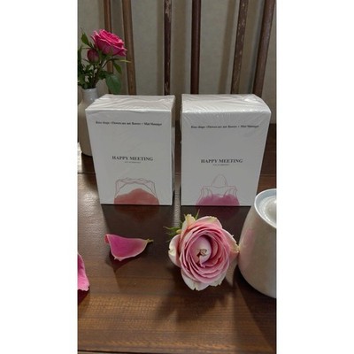 TWO Happy Meeting Joy at Meeting Rose Shaped Mini Massagers for Women SEALED