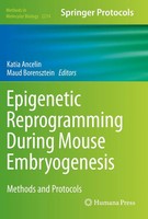 Epigenetic Reprogramming During Mouse Embryogenesis | Methods And Protocols | Xi