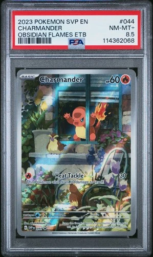 2023 POKEMON SVP EN-SV BLACK STAR PROMO #044 CHARMANDER PSA 8.5