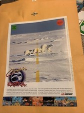 original 11- 8 1/4” Polar Cruis’n Exotica Cruising arcade video game AD FLYER image