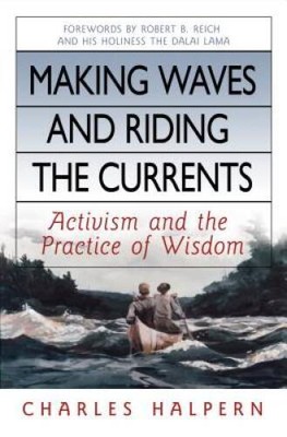 Making Waves and Riding the Currents: Activism and the Practi - VERY GOOD