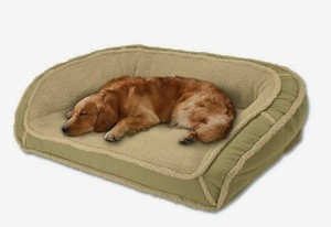 orvis memory foam deep dish dog bed