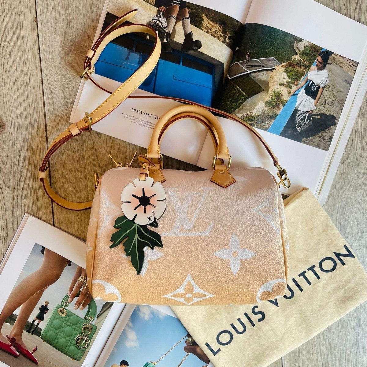 Louis Vuitton Speedy 25 By The Pool Creme Mist Gray Giant Monogram