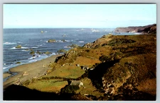 c1960s Brookings Oregon Azalea Park Coast Chrome Postcard