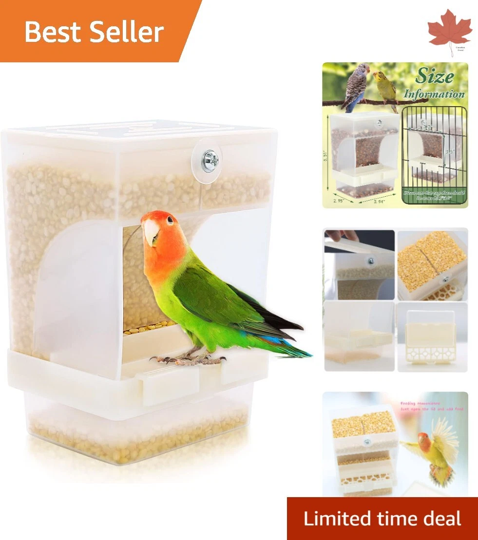 Bird hotsell feeder automatic