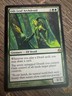 Magic the Gathering Gilt-Leaf Archdruid Morningtide Regular