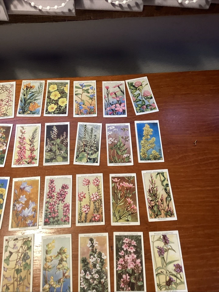 WD & HO Wills Wild Flowers 2nd series 1937 Full Set of 50 cards - Image 4 of 4