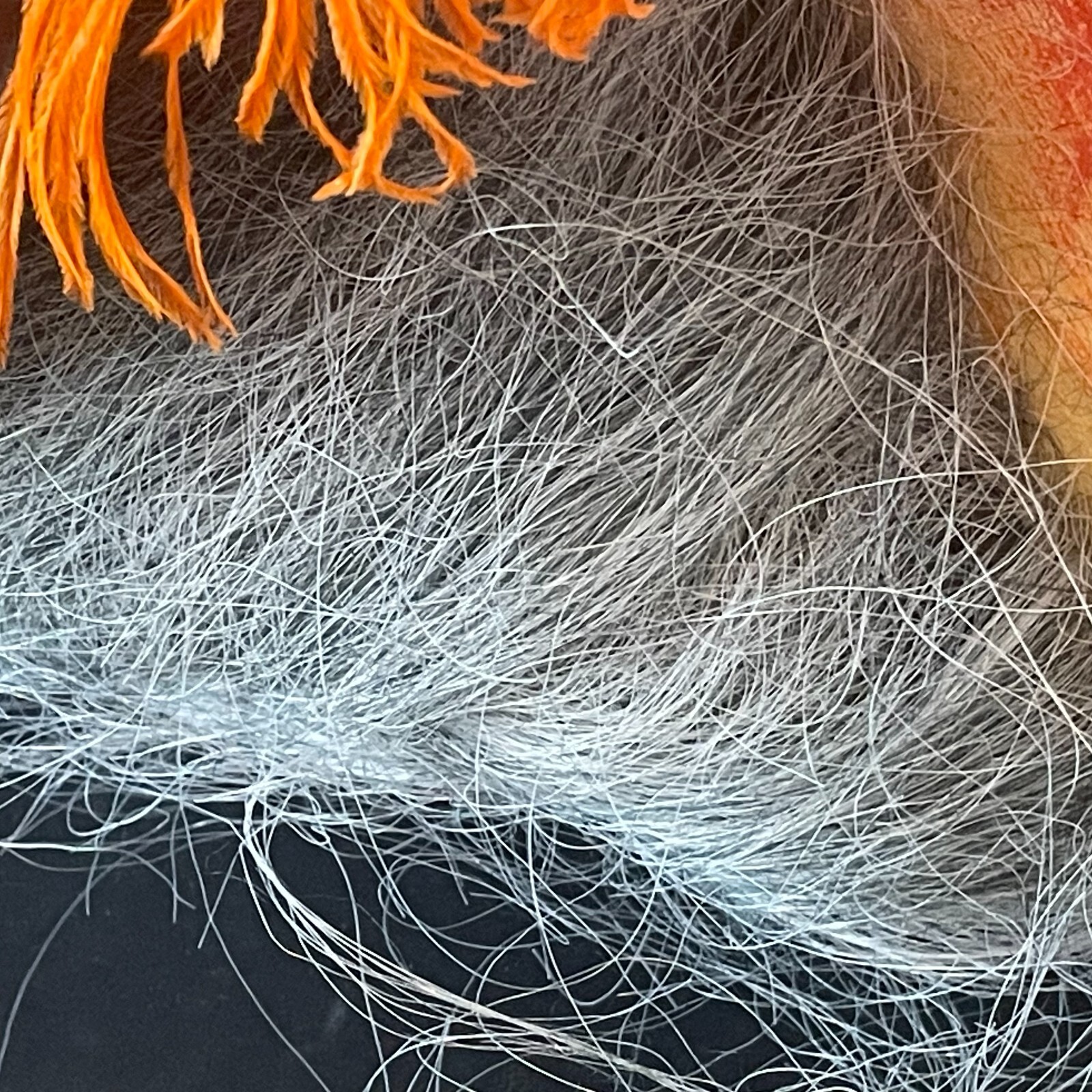 Photo 9/18