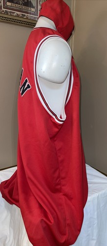 Mitchell & Ness 1995-96 NBA Chicago Bulls Dennis Rodman #91 Jersey With Cap - Picture 4 of 12