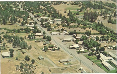 Hayfork Trinity County California Bird's Eye View Vintage Postcard