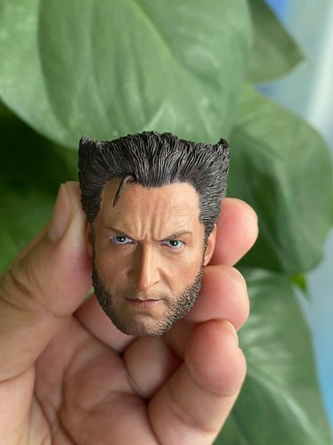 1/6 Scale Hugh Jackman Wolverine Head Sculpt Model Fit 12" Male Action Figure - Bild 3 von 6