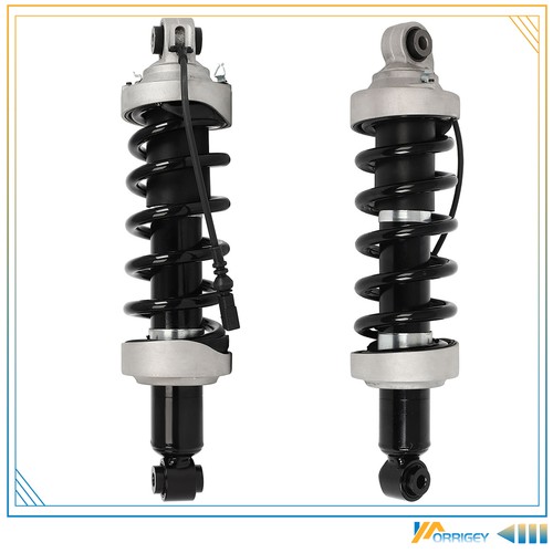 Audi R8 2007-2015 Rear Right Air suspension struts 2 pcs P/N 420512019G Photo - $331