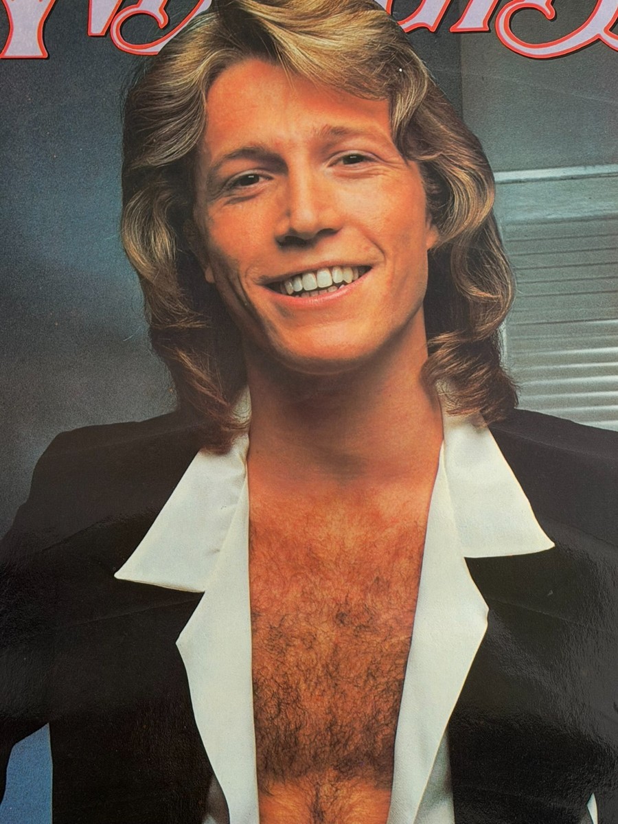 ANDY GIBB Vintage Poster 1978 Stigwood Dargis 3593 Teen Idol Hot