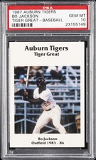 1987 AUBURN TIGERS TIGER GREAT BASEBALL BO JACKSON PSA 10