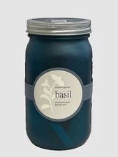 $24 Modern Sprout Blue Garden Jar Basil Growing Plant Kit
