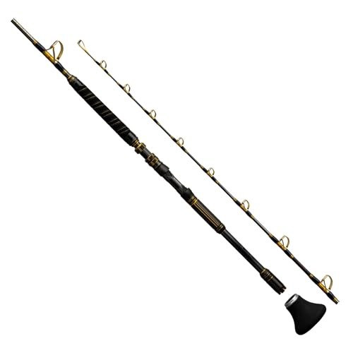 Shimano 25 ARCIERA OYOGASE H170 Live Bait for Tuna Big Game Rod | eBay
