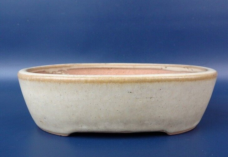 Olla bonsái japonesa TOKONAME YAMAFUSA firmada crema esmaltada ovalada w6.3" ...