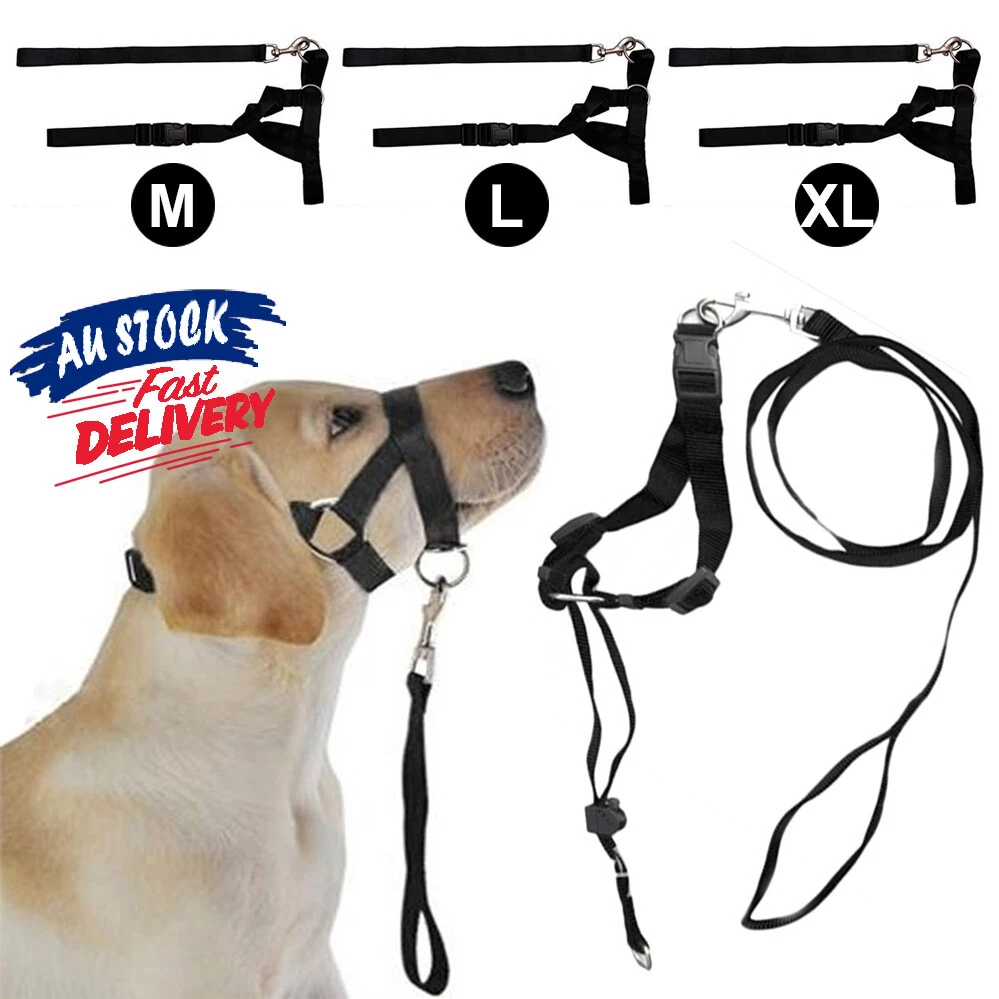 Halti tools clearance