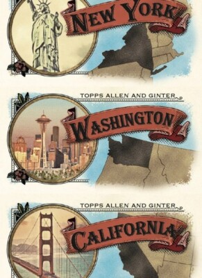 2024 Topps Allen & Ginter Insert Pick a Card XRay Buzz Sister Sister Westminster
