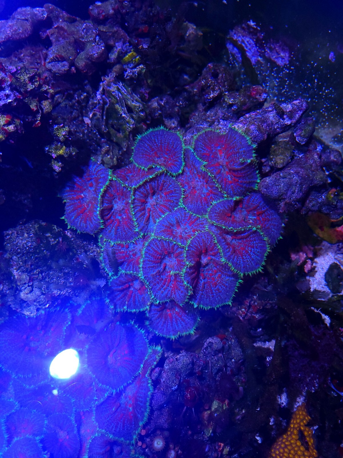 Picture 4 of 4