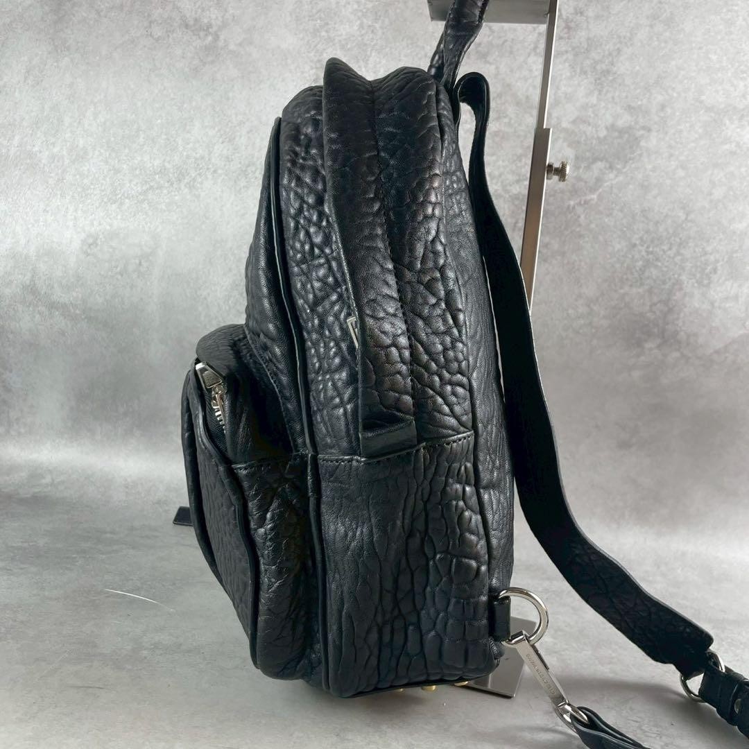 バッグ Alexander wang leather backpack Alexander Wang Dumbo Leather Backpack Black Used Authentic | eBay
