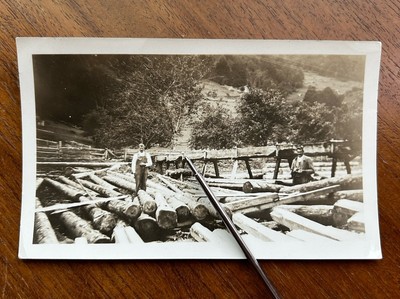 Vintage 1910s - 20s Saw Mill in Switzerland Loggers Lumberjacks original photo