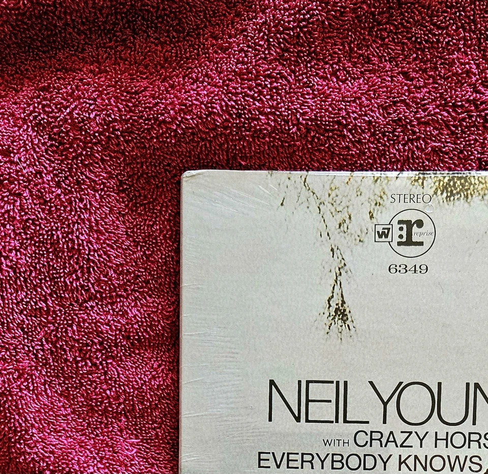 GORGEOUSLY SEALED!!! NEIL YOUNG 1969 Everybody Knows... BREATHE HOLES! ORIGINAL - Image 3 of 4