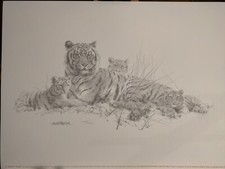 David Shepherd - Tigers Pencil Limited Edition Signed