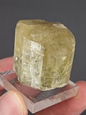 Fluorapatite - Crystal Lode Pegmatite, Fulford, Eagle County, Colorado