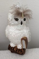 Scholarly White Owl With Brown Book Blown Gla...