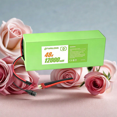 H Hailong 48V 12AH li-ion Battery Pack