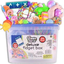 Sunny Days Entertainment 24 Piece Fidget Box, Sensory Toys with Storage Conta...