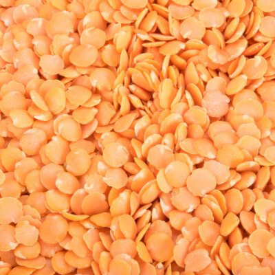 Bulk Dried Beans 5 lb. Bag (select variety from drop down)