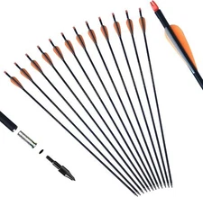 12Pcs 30inch Fiberglass Arrow Replaceable Tips Spine 500 Composite Recurve Bow