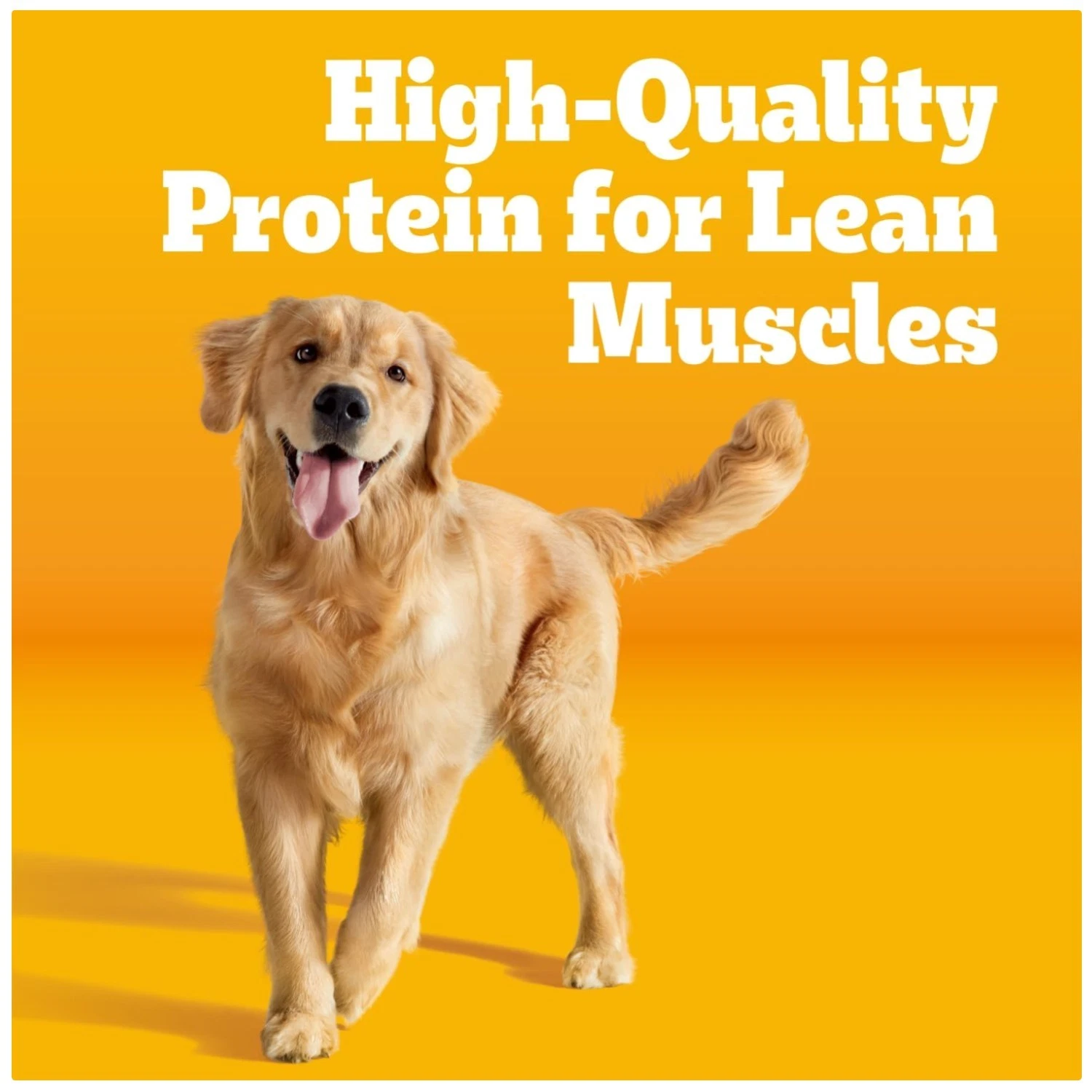Adult Dry Dog Food, Grilled Steak & Vegetable Flavor, 18 lb