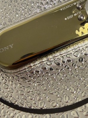 Sony Walkman NW-E507 Silver ( 1 GB ) Digital Media Player for sale