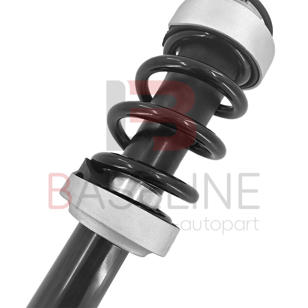 1x Front Shock Absorber Strut Magnetic Fit 2007-2015 Audi R8 V8 V10 420412019AJ