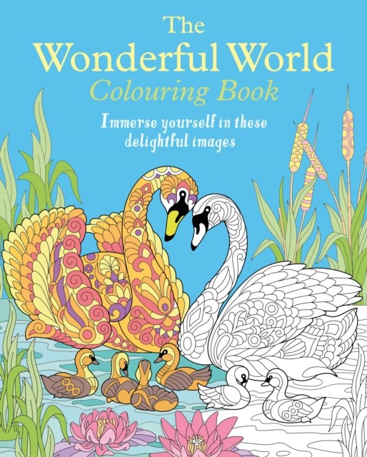 The Wonderful World Colouring Book by Tansy Willow (Paperback Book)
