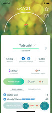 #978 Tatsugiri Curly Form (Europe) ! Same Day Shippment or Next Day Guaranteed !
