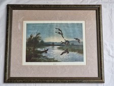 vintage Peter Scott Silhouettes framed print flying birds
