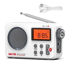 New Portable AM/FM PLL Alarm Radio supports a 3.5mm audio jack SY-8801